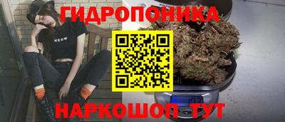 a pvp Кулебаки